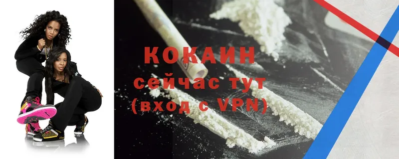 COCAIN FishScale  купить закладку  Верхоянск 