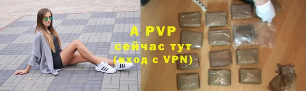 ГАЛЛЮЦИНОГЕННЫЕ ГРИБЫ Магадан